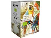 Te LIFE BY FOLLIS Kokos ananas 20/fp