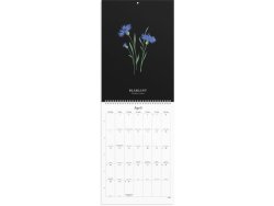 Vggkalender Illustrerad blomster 2025