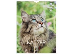 Vggkalender Stora Kattkalendern 2025