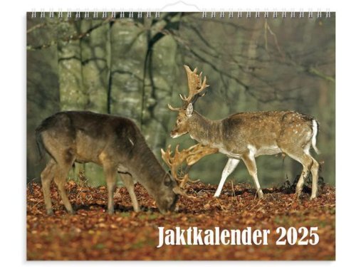 Vggkalender Jaktkalender 2025