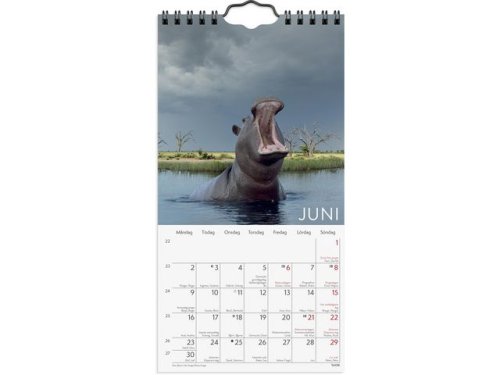 Vggkalender Wild animals 2025